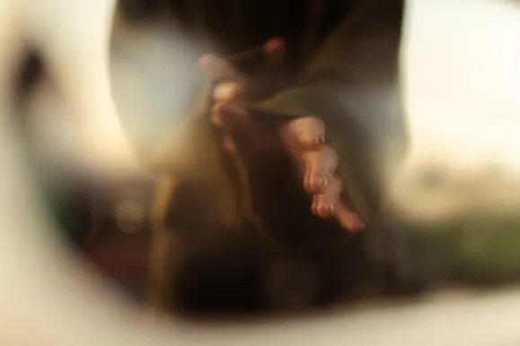 كازينو رويال سلوتس الدعم